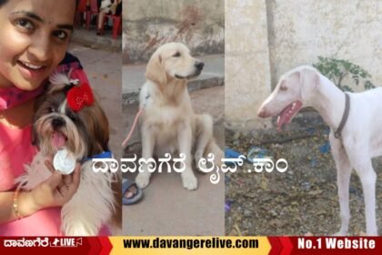 State level dog show 2023 davanagere