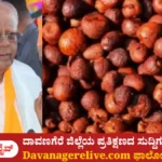ಅಡಿಕೆ