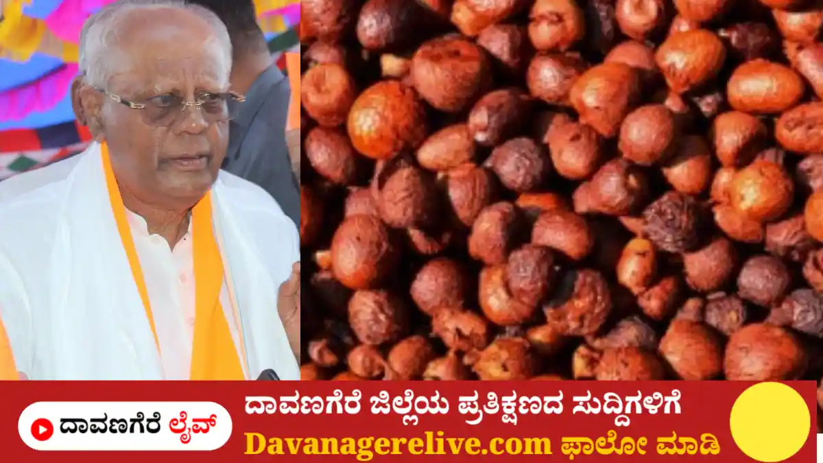 ಅಡಿಕೆ
