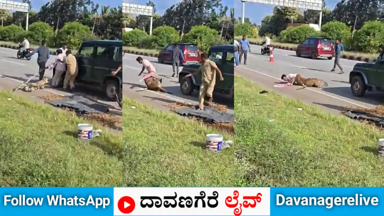 ದಾವಣಗೆರೆ