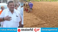 ದಾವಣಗೆರೆ