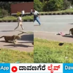 ದಾವಣಗೆರೆ