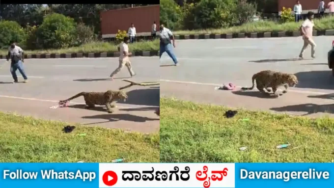 ದಾವಣಗೆರೆ