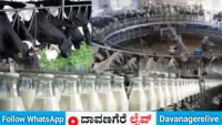 ದಾವಣಗೆರೆ